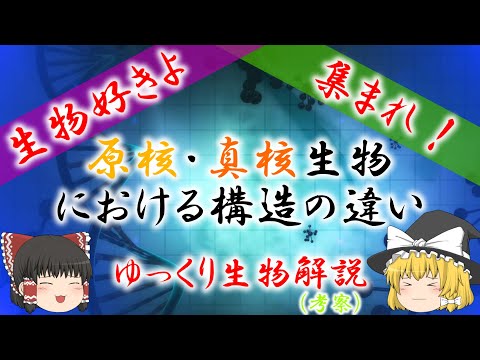 さまざまな真核生物