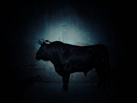 ZUPAY feat. trouve feraud