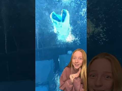 Bottom of the Pool #POV 👀🤯 #bravegang