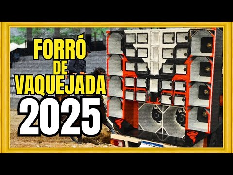 EVANIEL DOS TECLADOS CANTA FORRÓ DE VAQUEJADA | SELEÇÃO DAS MELHORES | EU APOIO A VAQUEJADA