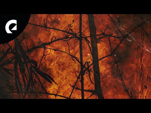 Paper Twins - A Forest Fire