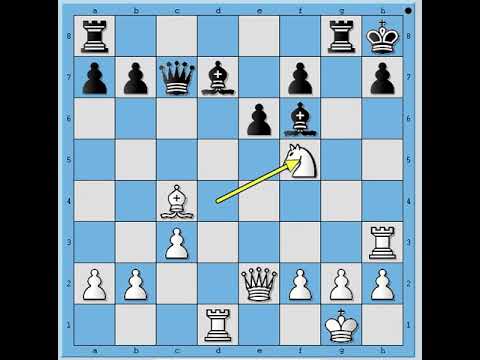 Važnost preciznog napada u šahu - NAJER vs TIMOFEEV #1217