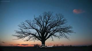 Download lagu Khotbah singkat pdt. gilbert Lumoindong (peperangan rohani) mp3 Download lagu Khotbah singkat pdt. gilbert Lumoindong (peperangan rohani) mp3