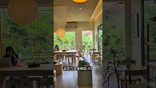 호치민 가장 중심가, 숨겨져있던 티룸 | TEA'SPACE