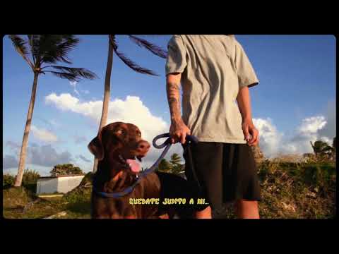 Moncas - I Wanna Love You (Lyric Video)