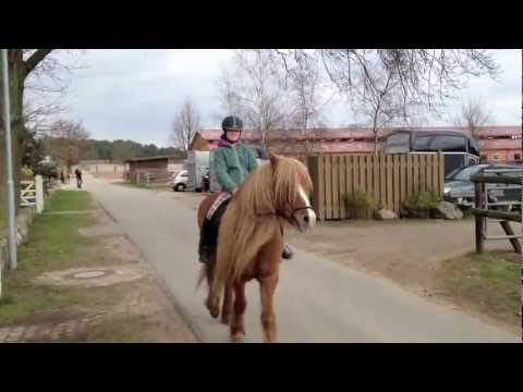 Ferienkinder-Ausritt mit Larissa - www.kronshof.de