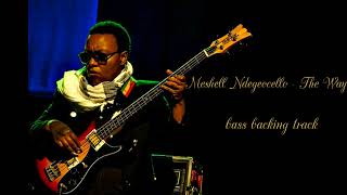 Meshell Ndegeocello - The Way - bass backing track (NO BASS)