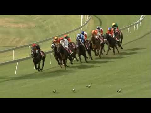 MALMOOS - 2021 World Sports Betting SA Classic (Gr1)