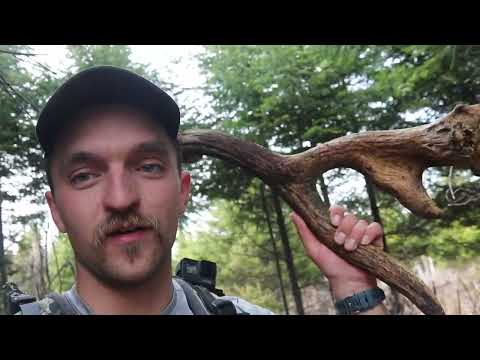 Freak Moose Antlers - 12 Sheds in a Day - Canada Day 3 | Beyond the Boundaries