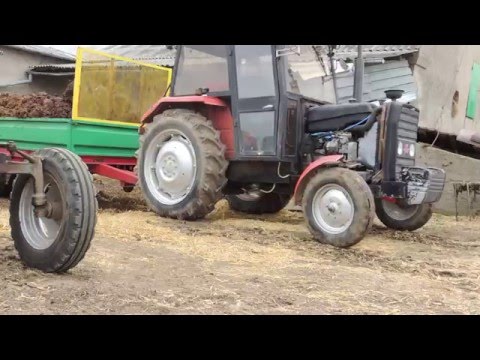 Akcja obornik 2016 - MF 255 & C-328