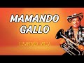 Mamando Gallo – Lisandro Meza | Cumbia Tropical Colombiana | Letra Oficial