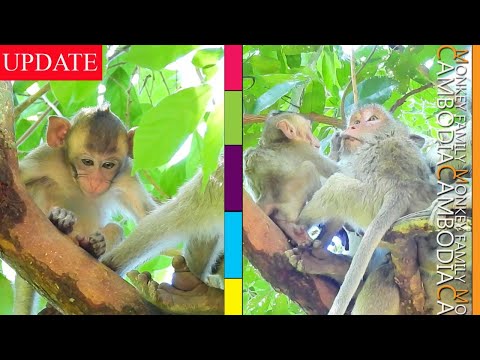 Million Pity Janna...Janet Stole all Her Milk