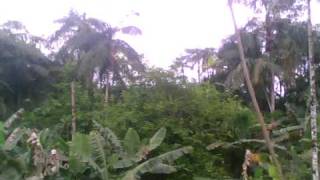 Nino XT600 on board.AVI