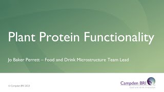 Plant protein functionality: tools to assist with a growing trend
