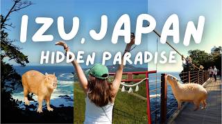 Best Things to Do in Izu, Japan 🇯🇵 | Mt Omuro, Capybaras & Hidden Coast