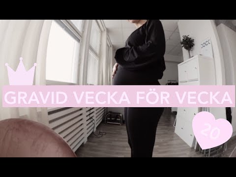 GRAVID VECKA FÖR VECKA: V.20