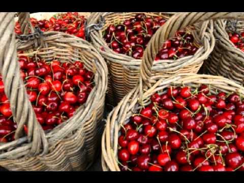 Het dialect van Sint-Truiden