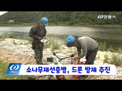 [안동 현장 리포트] 7월 22일, 소나무재선충병 드론 방제 추진