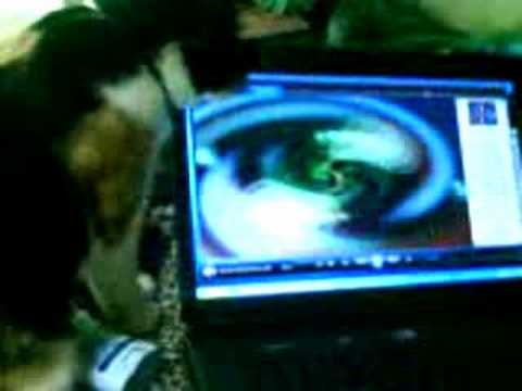 Colors confuse Carli cat