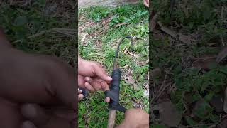 Download lagu Alat Petik Kelapa Tetangga #art #diy #food #kreatif #viral #video #shorts #like mp3