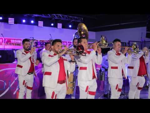 Banda La Alterada - El Son De La Rabia (2017) "Exclusivo"