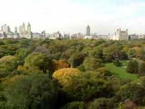 Susan Polgar Movie Central Park Filming Location