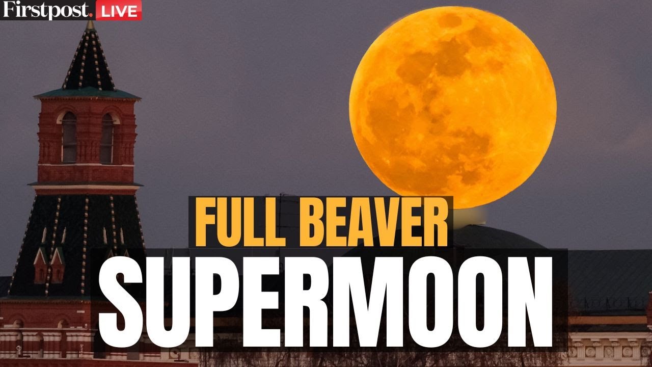 Supermoon LIVE: India Experiences Full Moon November Supermoon 2025 | Full Beaver Supermoon