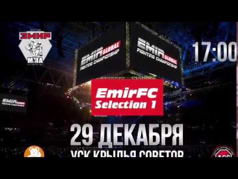 EMIR FIGHT CHAMPIONSHIP MMA Selection 1