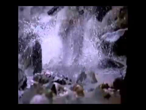 FIGHTER IN THE WIND illusive consensus EPICA