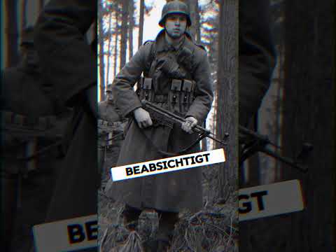 Warum hatte das deutsche Sturmgewehr vierundvierzig ein gebogenes Magazin?