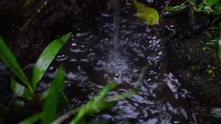 Download lagu Video dan Suara Air mengalir # 3 mp3