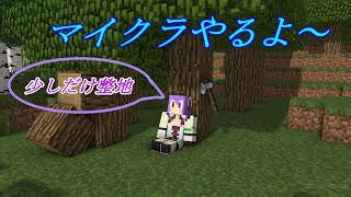 【マイクラ】軽く整地