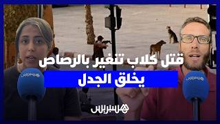 قتل كلاب في تنغير بالرصاص يخلق الجدل.. مواطنون يستنكرون وجمعوي ينادي بتفعيل اتفاقية 2019 thumbnail