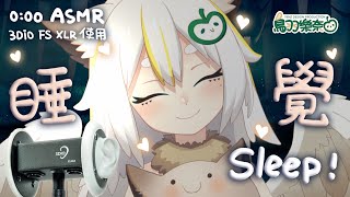 [Vtub] 鳥羽樂奈【睡覺直播】sleep stream