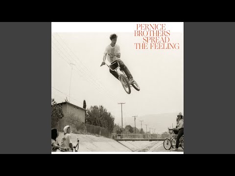 The Devil And The Jinn - Pernice Brothers