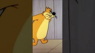 Pica-Pau Acerta um Gato! #shorts