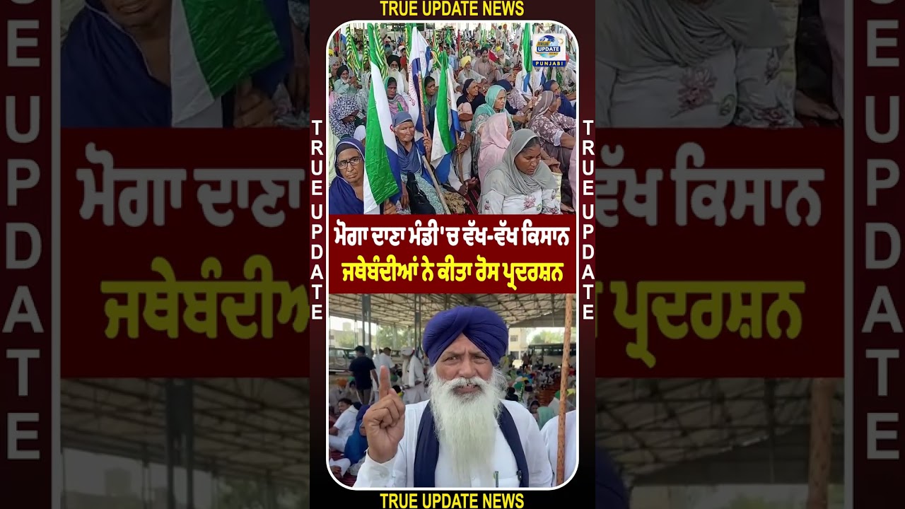 ਮੋਗਾ ਦਾਣਾ ਮੰਡੀ 'ਚ ਵੱਖ-ਵੱਖ ਕਿਸਾਨ ਜਥੇਬੰਦੀਆਂ ਨੇ ਕੀਤਾ ਰੋਸ ਪ੍ਰਦਰਸ਼ਨ