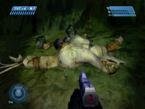 BCM269 - Yeti Flood, seeing log guy's teleport arrival