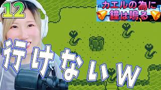 【カエルの為に鐘は鳴る】金山までの道中で敵に挟まれて抜け出せなくなったｗ＃12【うさみは、今日も世界を救う】