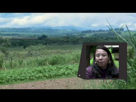 Sustentáculos 02 - Você é o que você come - Parte 1