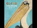 Cosmo Sheldrake - Rich (Ft. Anndreyah Vargas ...
