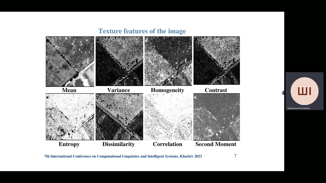 Identification of Objects on Satellite Images Using the Image Texture Properties