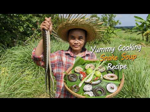 Yummy Cooking Snake Soup Recipe - Rural Cooking