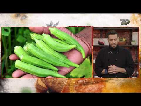 Ne Shtepine Tone, 11 Shtator 2017, Pjesa 1