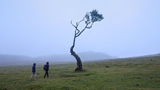 Hiking for 4 days in Madeira Portugal | 4K HDR