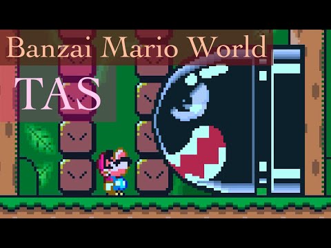 [TAS] Banzai Mario World in 57:57.88