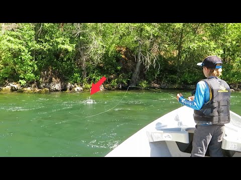 Fly Fishing and Floating the Rogue River Salmonfly Hatch! (EPIC Dry Fly Eats!)