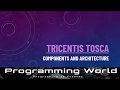 Session 4 : : Tricentis TOSCA : : Components : : Architecture