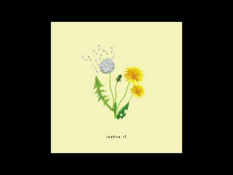 imagine if (clean) - gnash