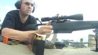 Sig Sauer SSG 3000 at 600 Yards